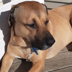 Meet your Posher, Delma